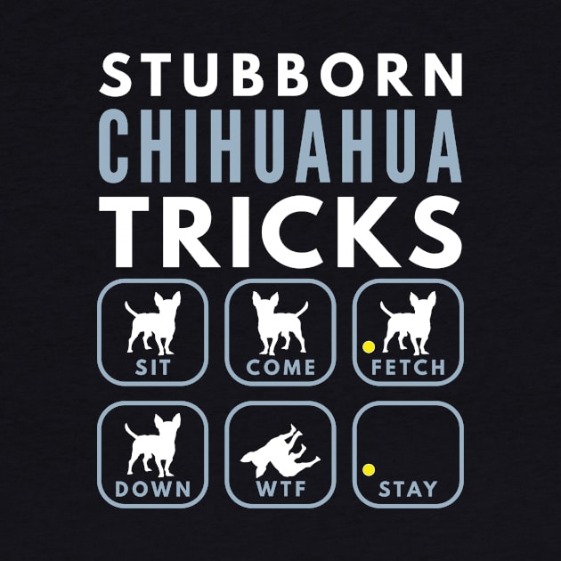 Stubborn Chihuahua Tricks - Dog Training by DoggyStyles